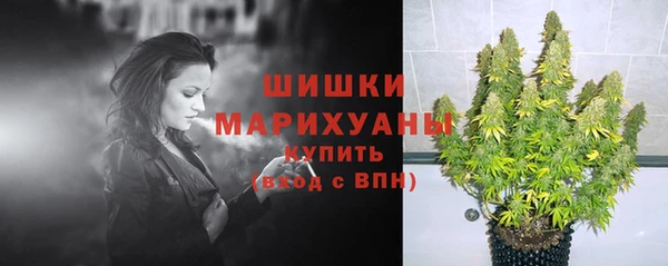трава Богородицк