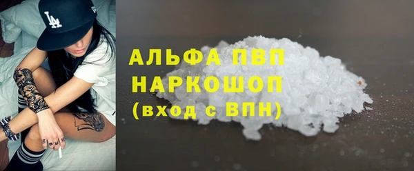 шишки Слюдянка