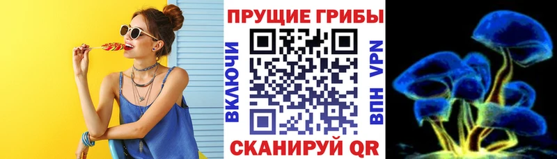 Галлюциногенные грибы мицелий  наркотики  Мегион 