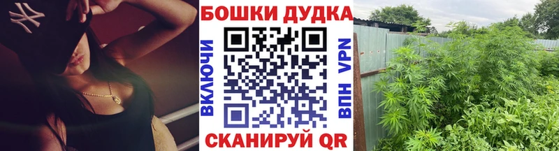 omg вход  что такое наркотик  Мегион  МАРИХУАНА марихуана 
